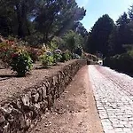 Quinta Da Timpeira Ламегу