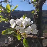 Quinta Da Timpeira Lantställe *
