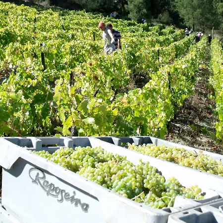 Quinta Da Timpeira Lamego