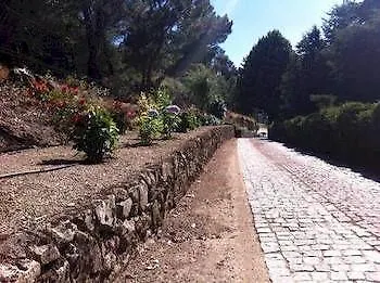 Quinta Da Timpeira 拉梅戈