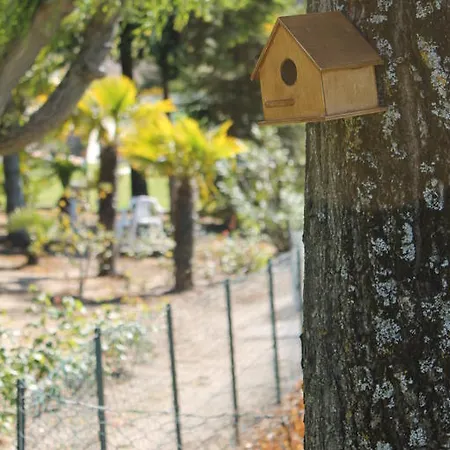 Quinta Da Timpeira *