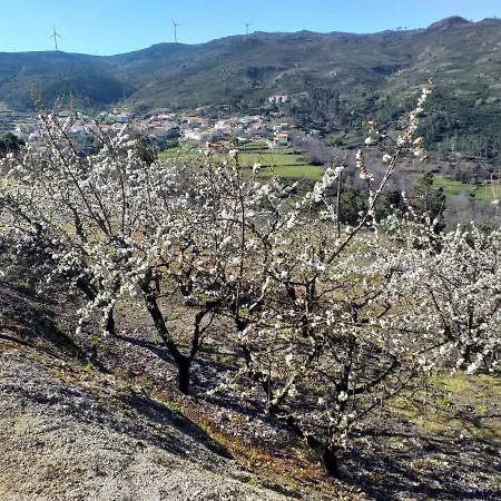 乡村民宿 Quinta Da Timpeira 拉梅戈