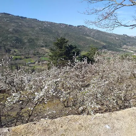 Quinta Da Timpeira * 拉梅戈