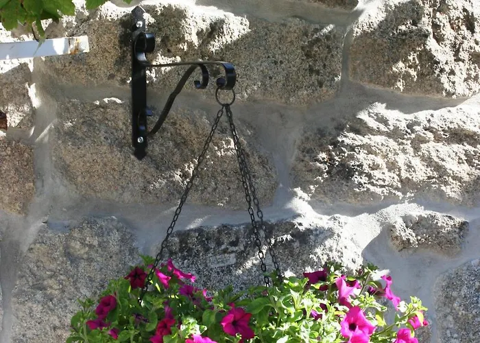 カントリーハウス Quinta Da Timpeira ラメゴ