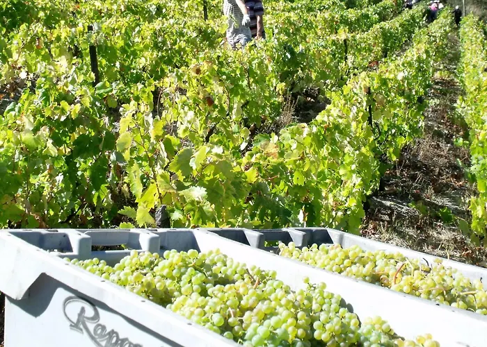 Quinta Da Timpeira ラメゴ