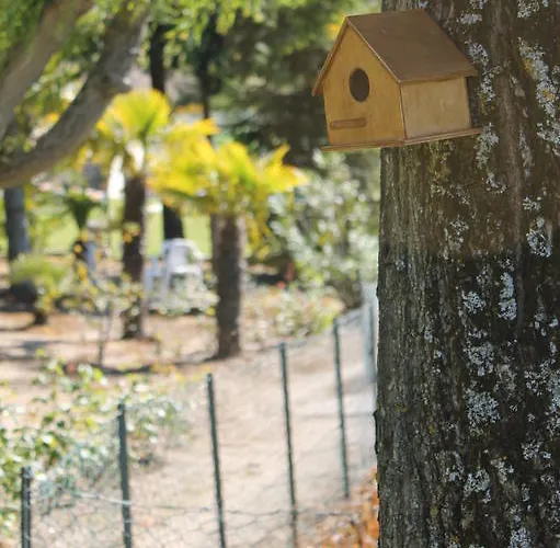 Quinta Da Timpeira *