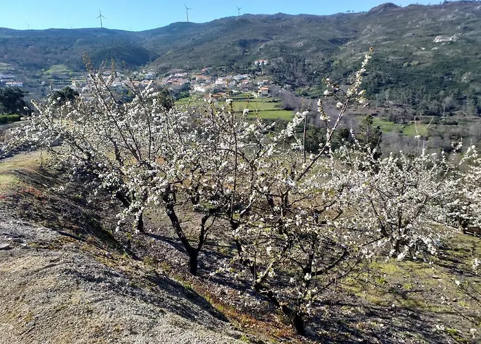 Country house Quinta Da Timpeira Lamego