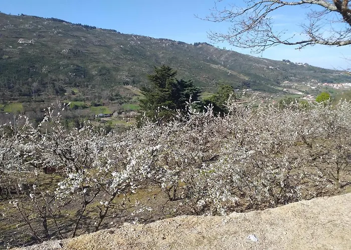 Quinta Da Timpeira * ラメゴ